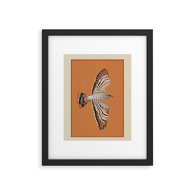 Hawk in Still Flight Framed Art Print Gallery Image 5