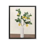 Lemon Branches II Framed Canvas Print Gallery Image 6