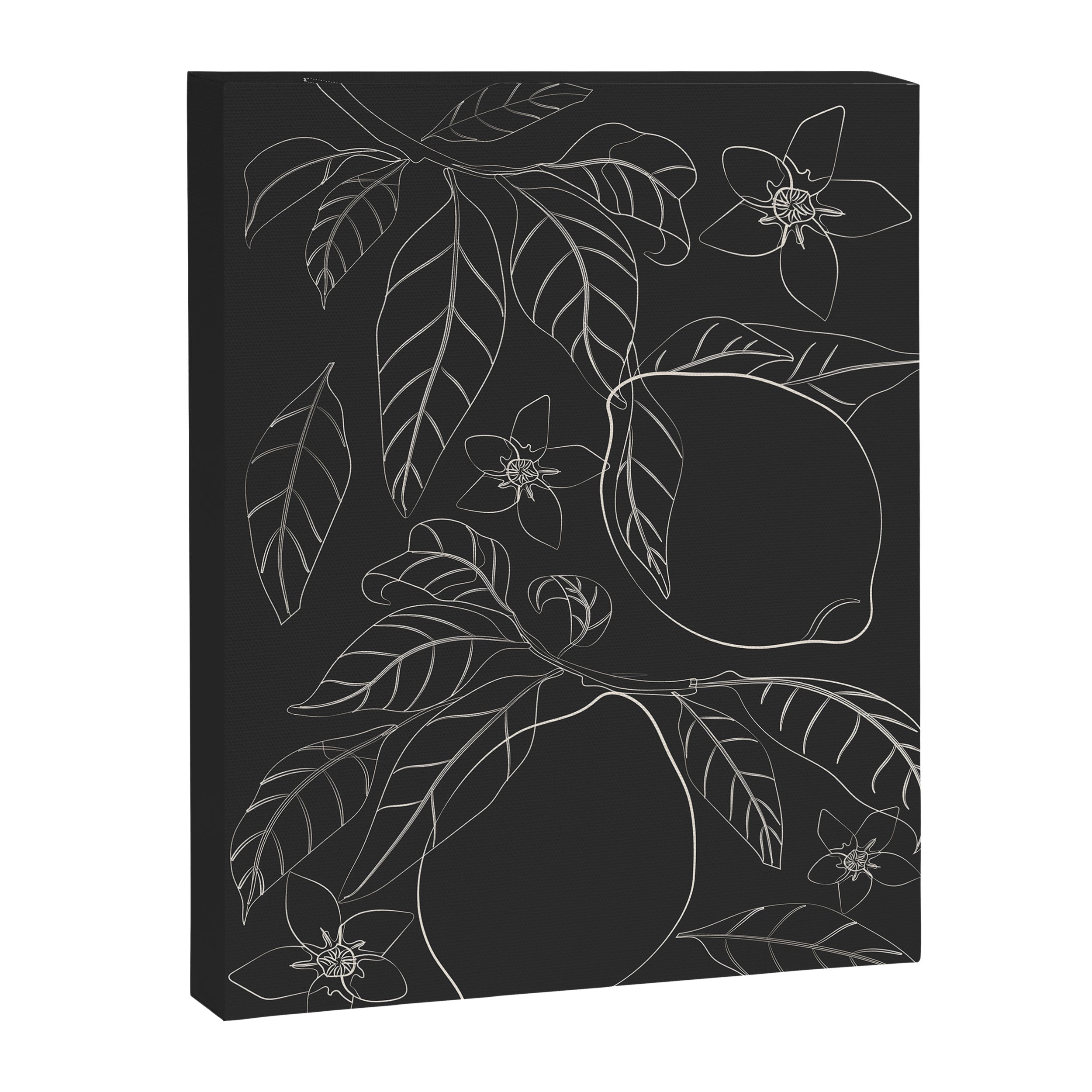 Lemons - Line Art 1 Canvas Print Gallery Image 6