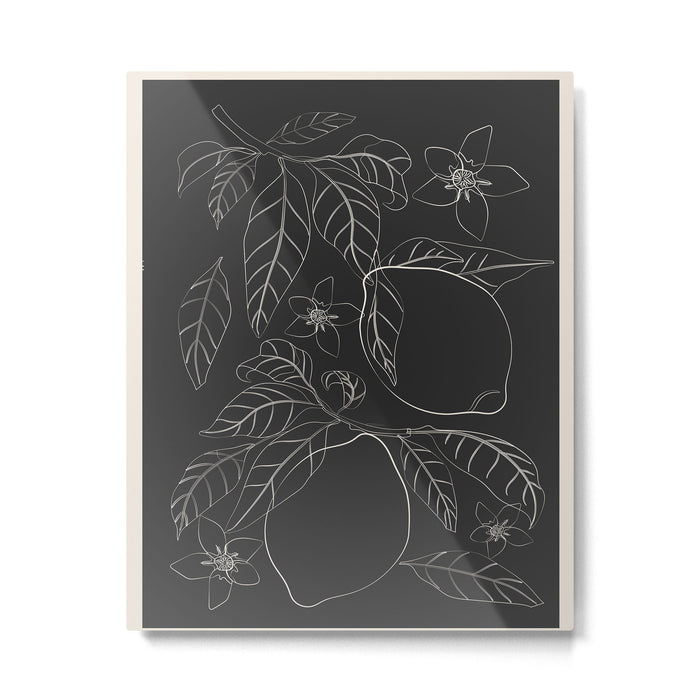 Lemons - Line Art 1 Metal Print Gallery Image 1