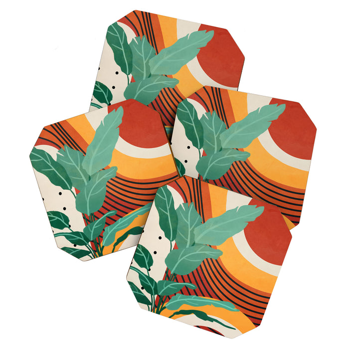Lines of Nature 3 Coaster Gallery Image 1