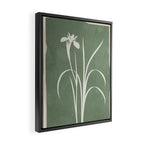 Little Flower 3 Framed Canvas Print Gallery Image 2