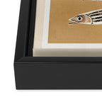 Minimal Fish Study Framed Canvas Print Gallery Image 3