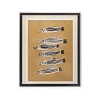 Minimal Fish Study Framed Canvas Print Gallery Image 6