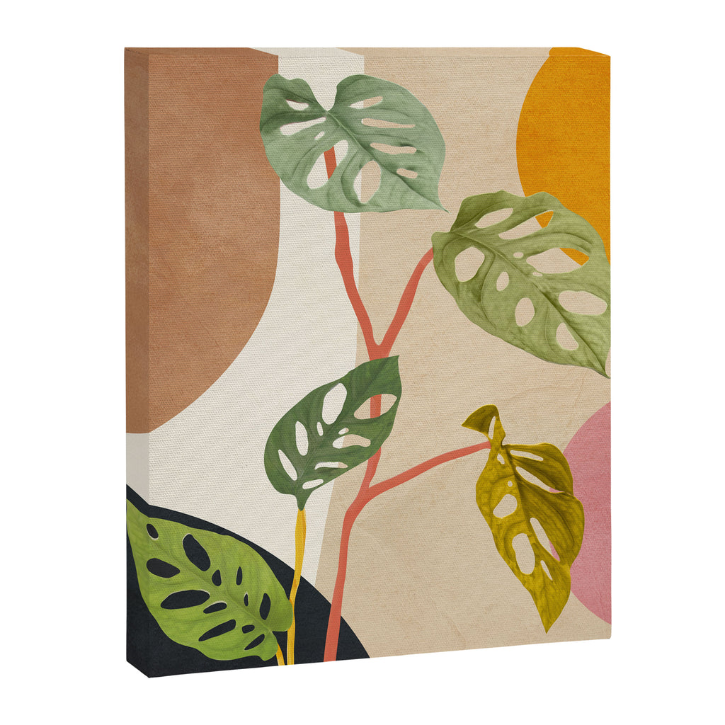 Monstera Obliqua 01 Canvas Print Gallery Image 6