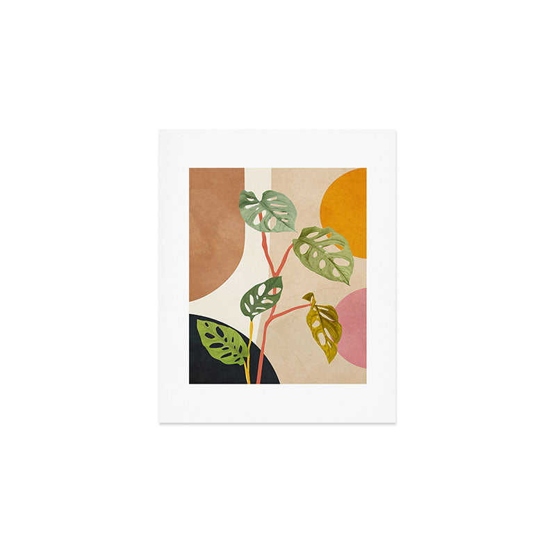 Monstera Obliqua 01 Art Print Gallery Image 1