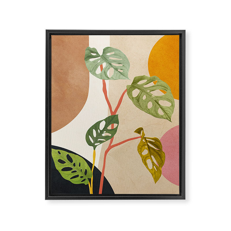 Monstera Obliqua 01 Framed Canvas Print Gallery Image 6