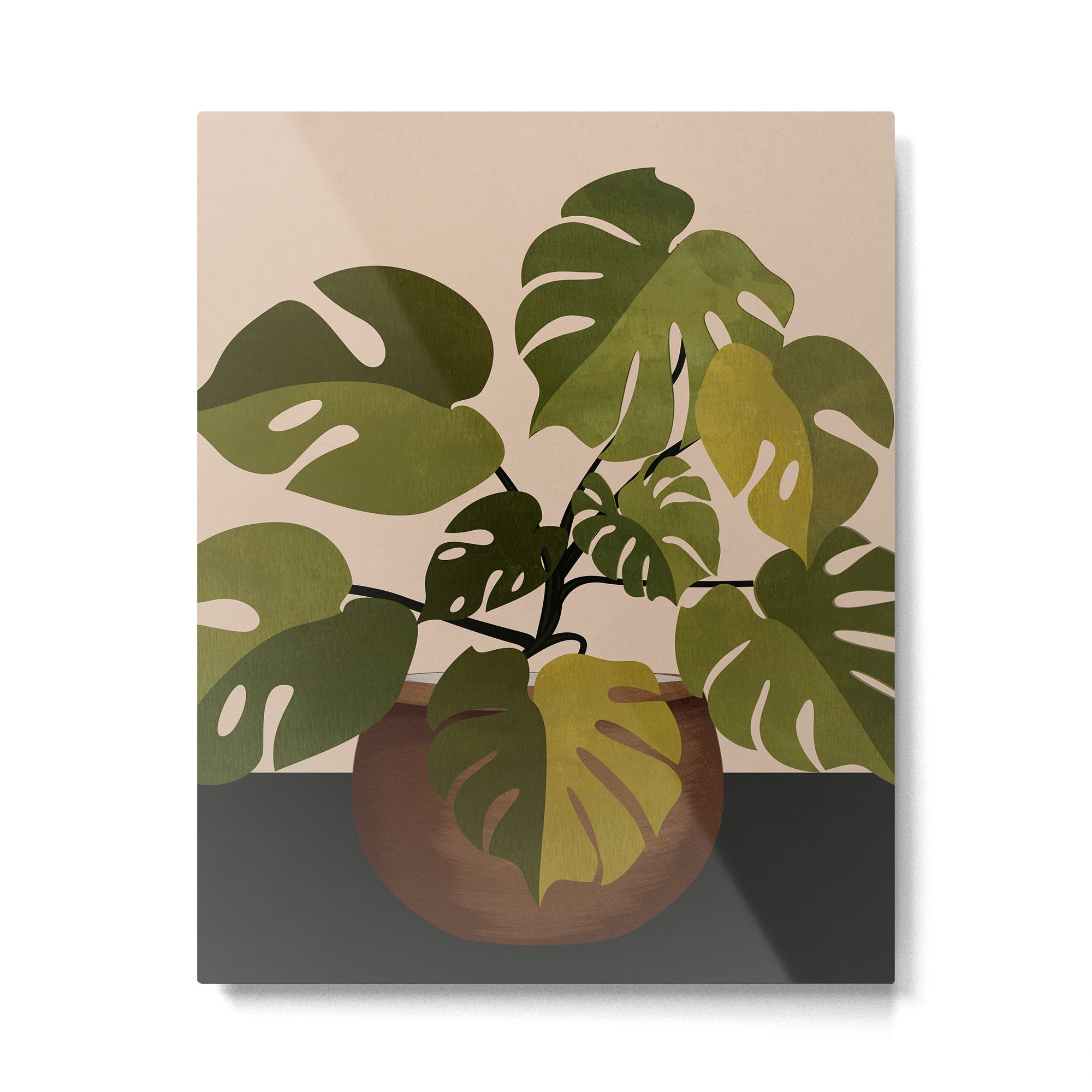 Monstera Plant In A Pot 1 Metal Print Gallery Image 6