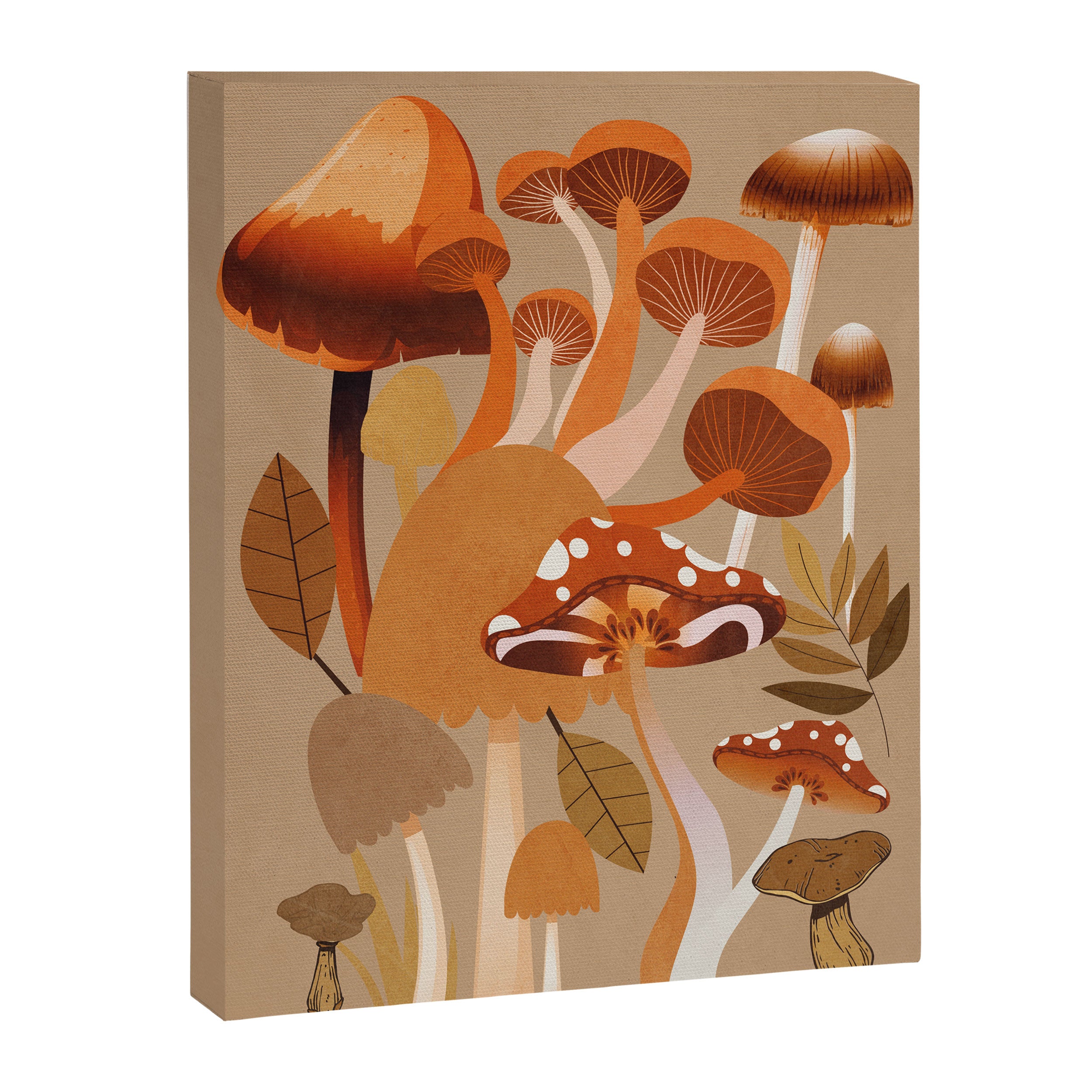 Mushrooms 2 Canvas Print Gallery Image 6