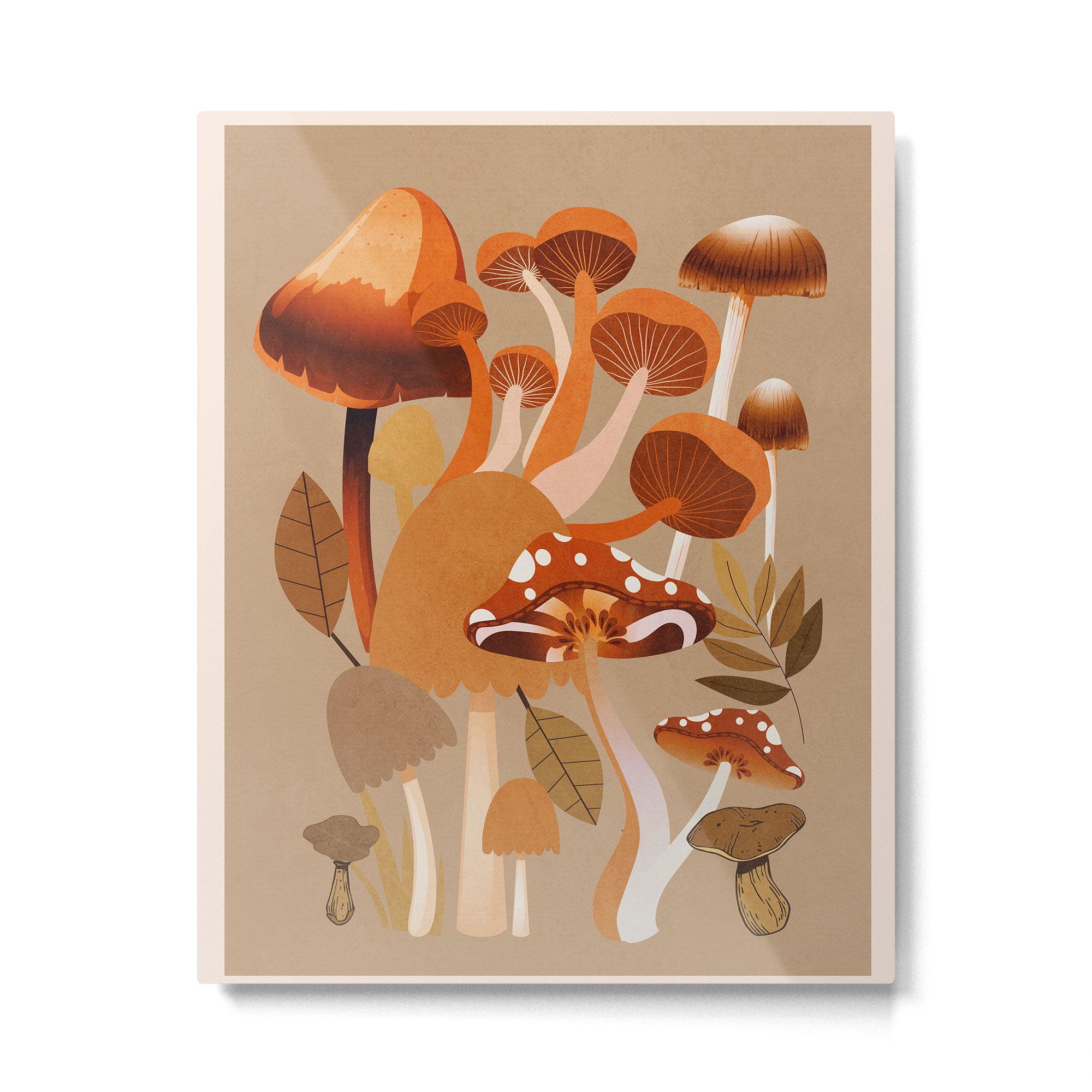 Mushrooms 2 Metal Print Gallery Image 4