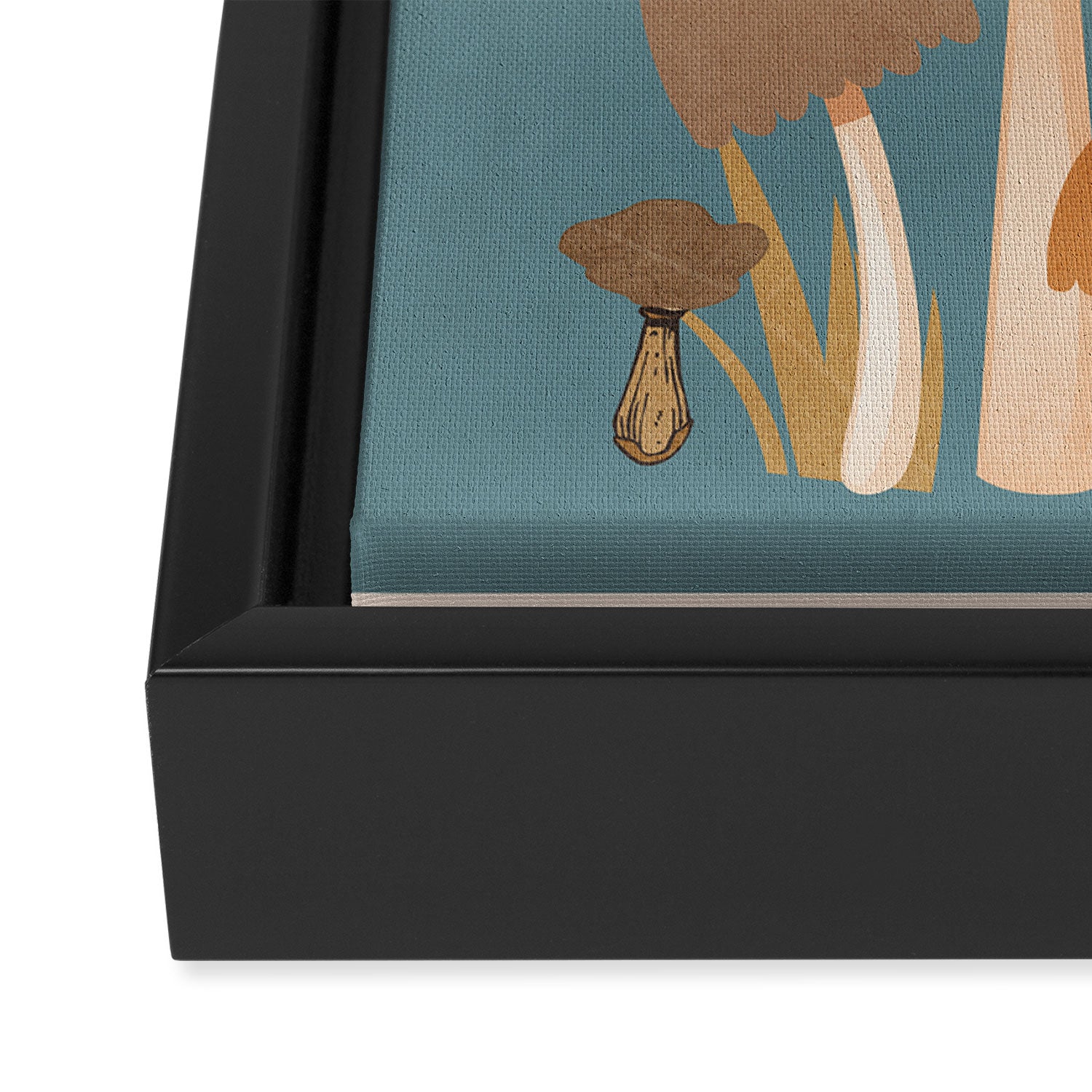 Mushrooms 3 Framed Canvas Print Gallery Image 3