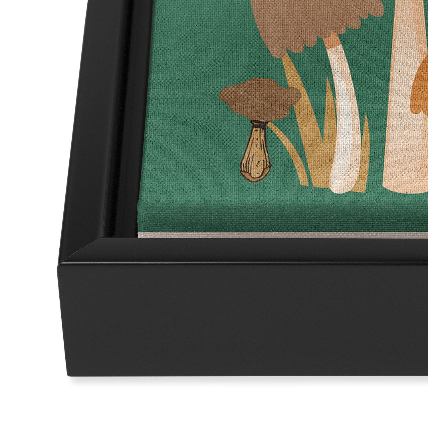Mushrooms 4 Framed Canvas Print Gallery Image 3