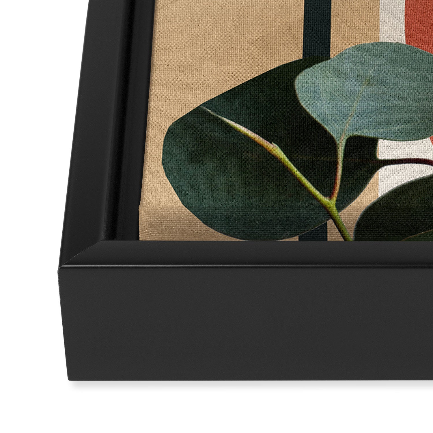 Nature Geometry 17 Framed Canvas Print Gallery Image 3