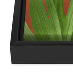 Nature Geometry X Framed Canvas Print Gallery Image 3