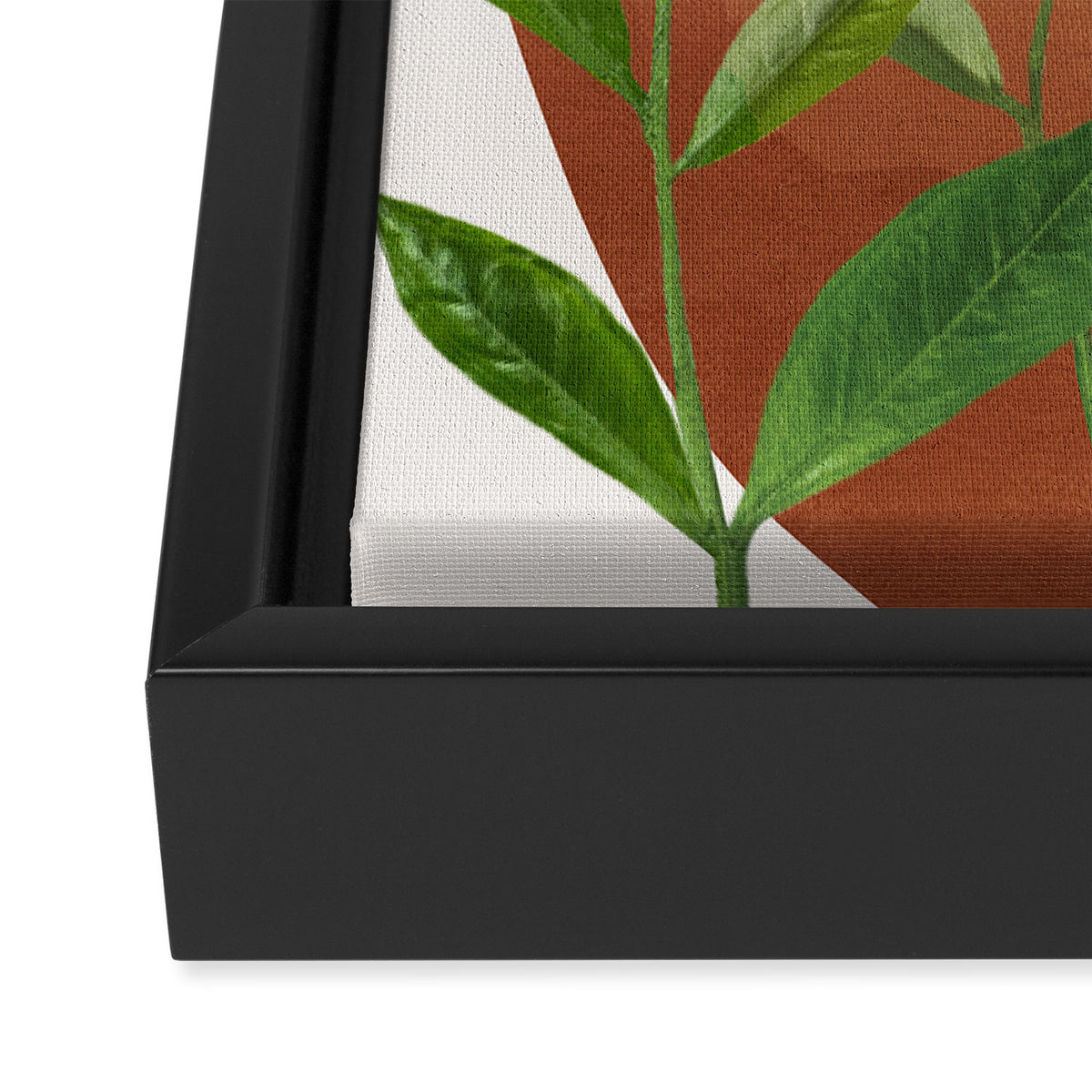 Nature Geometry XI Framed Canvas Print Gallery Image 3