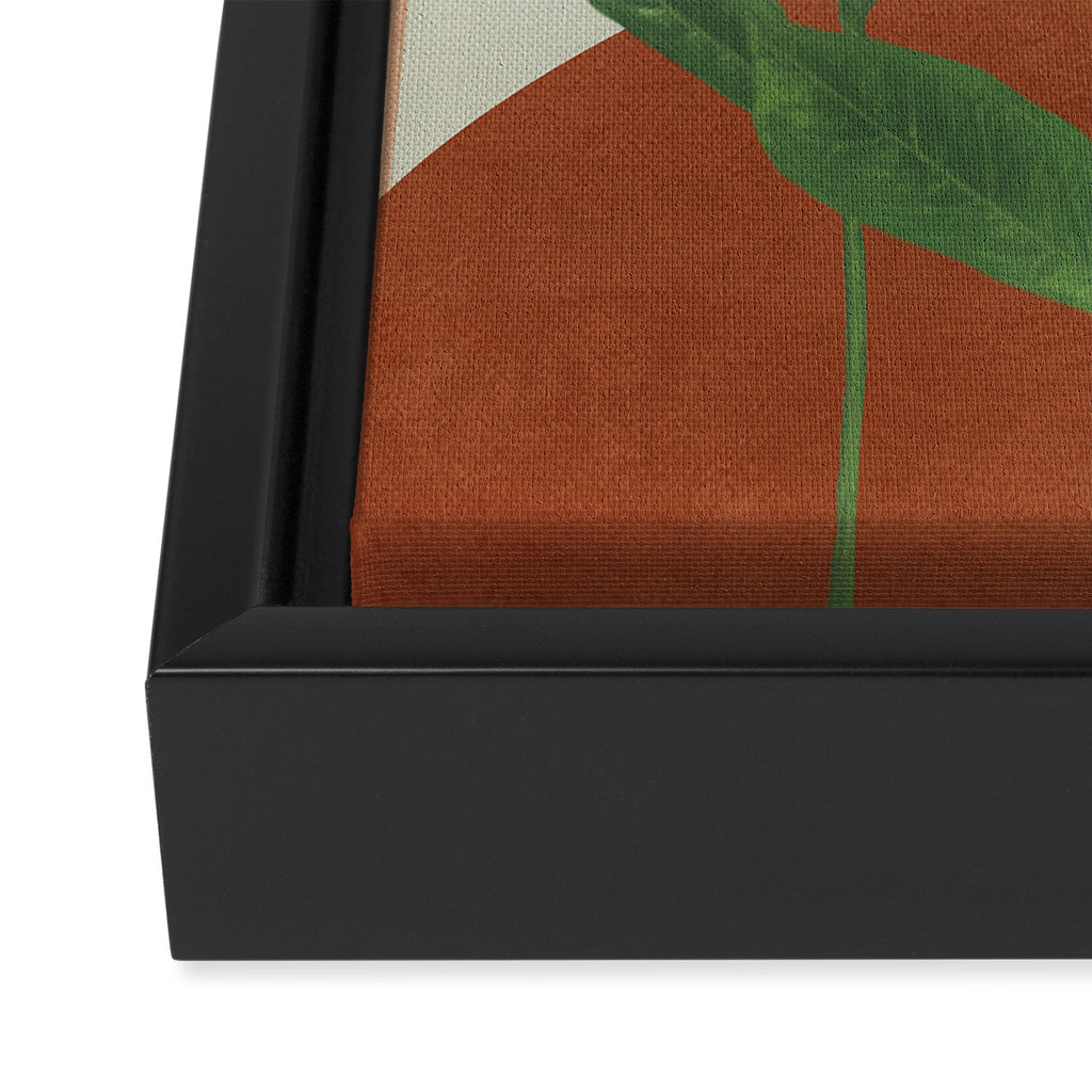 Nature Geometry XII Framed Canvas Print Gallery Image 3