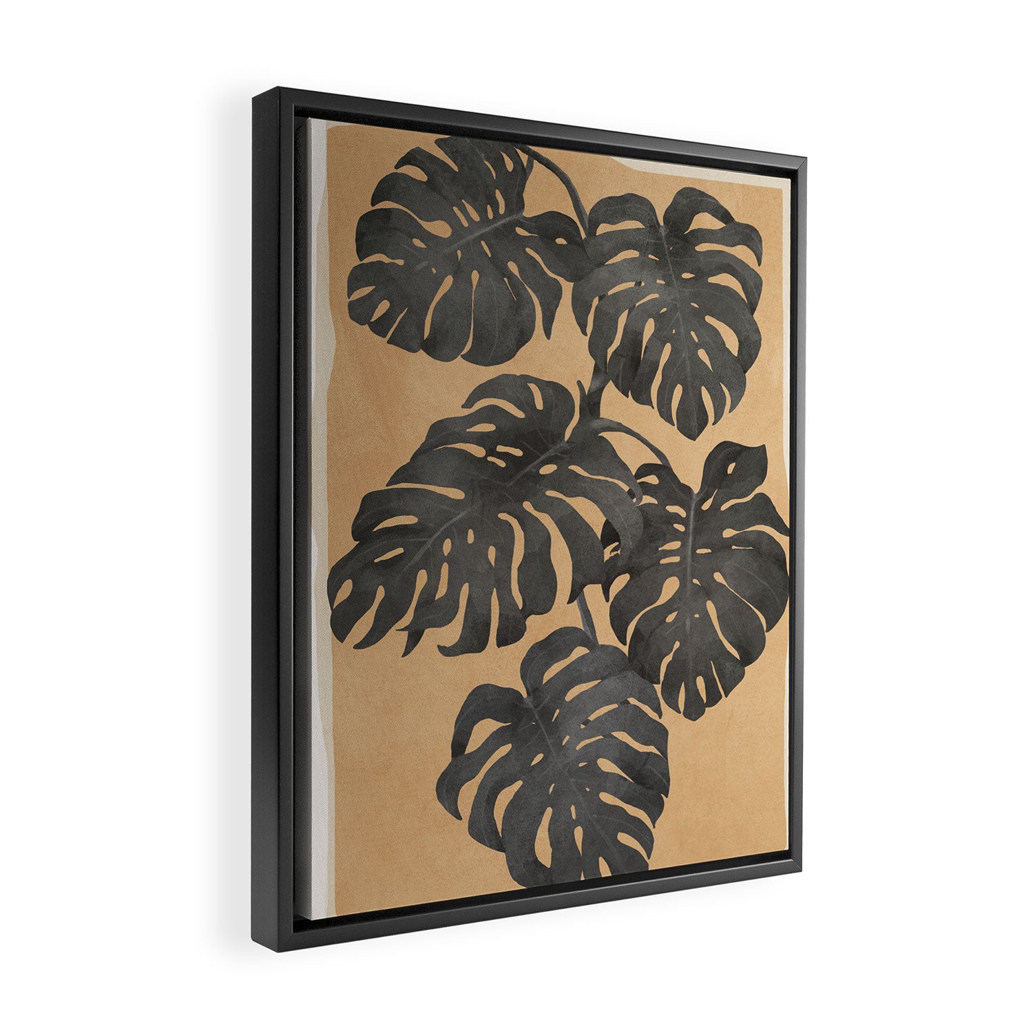 Philodendron III Framed Canvas Print Gallery Image 2