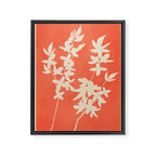 Plant Imprints 1 Framed Canvas Print Gallery Image 6