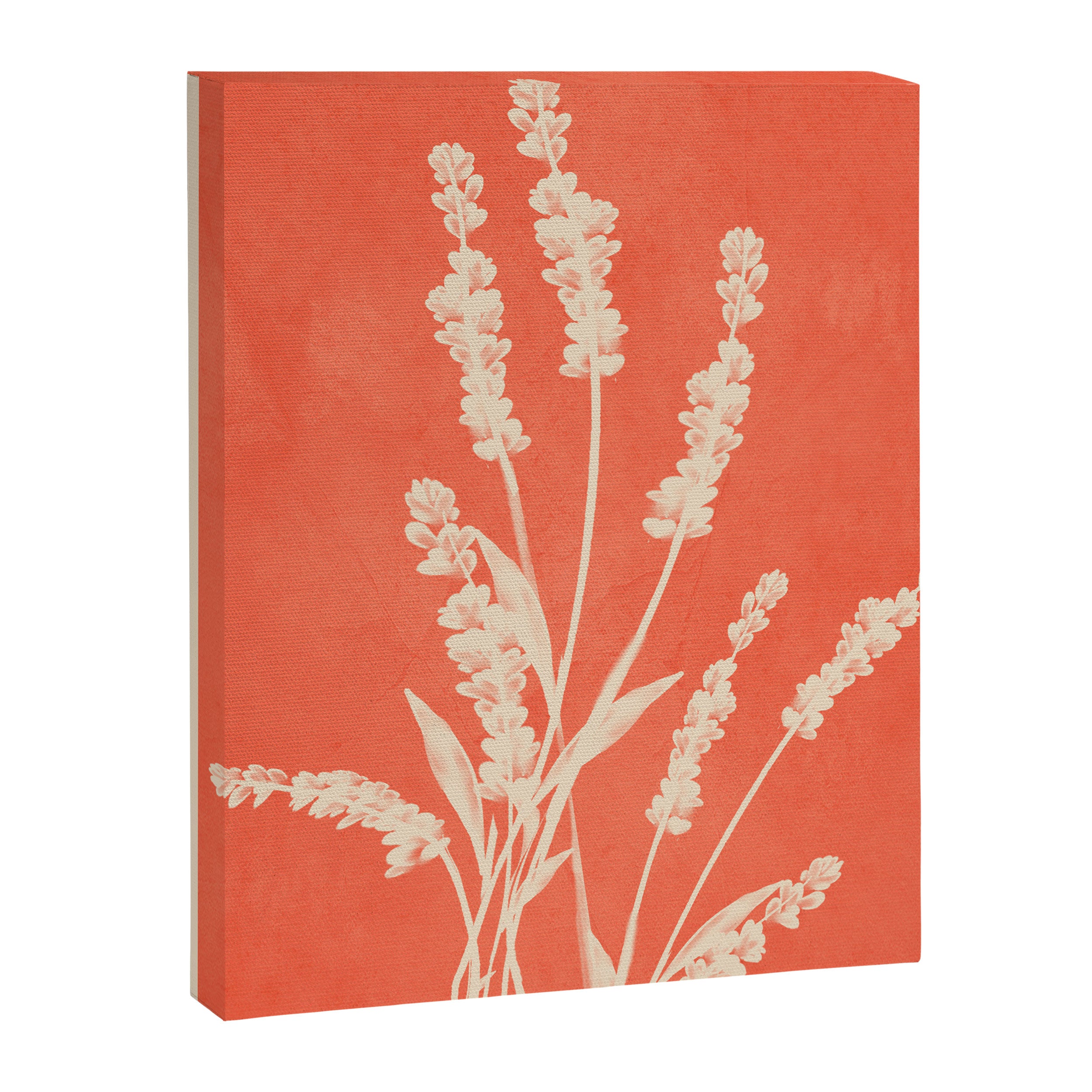 Plant Imprints 2 Canvas Print Gallery Image 6
