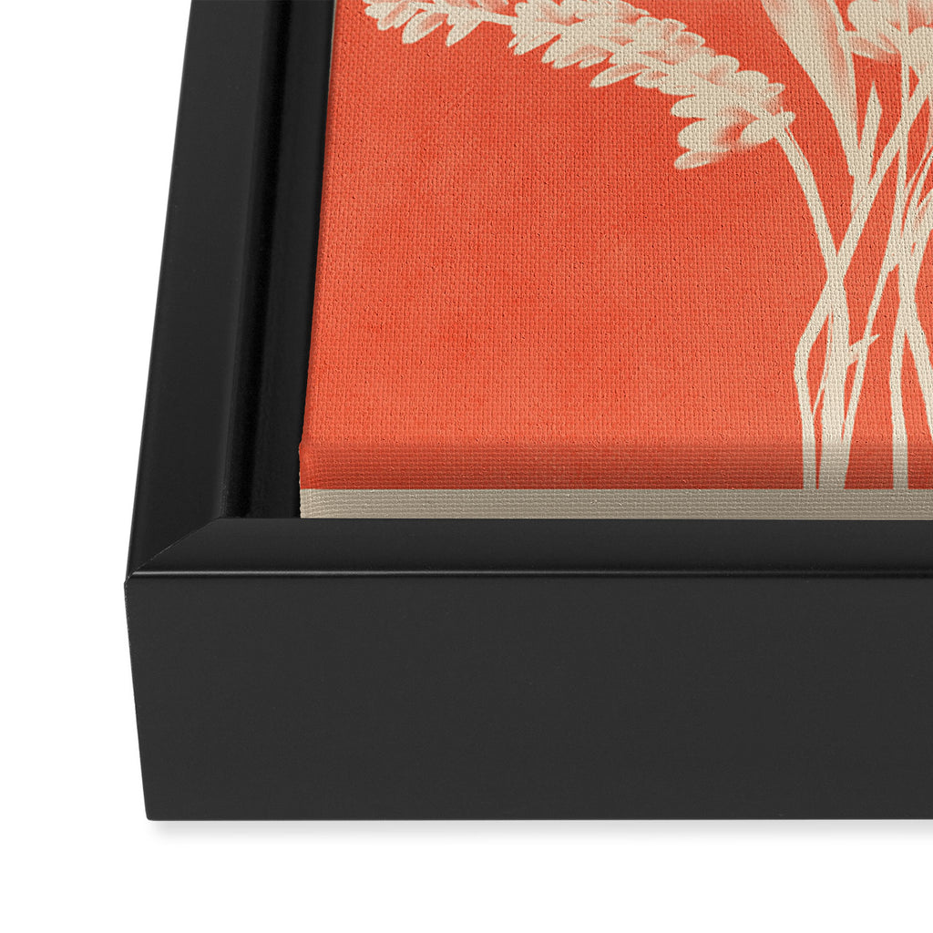 Plant Imprints 2 Framed Canvas Print Gallery Image 3
