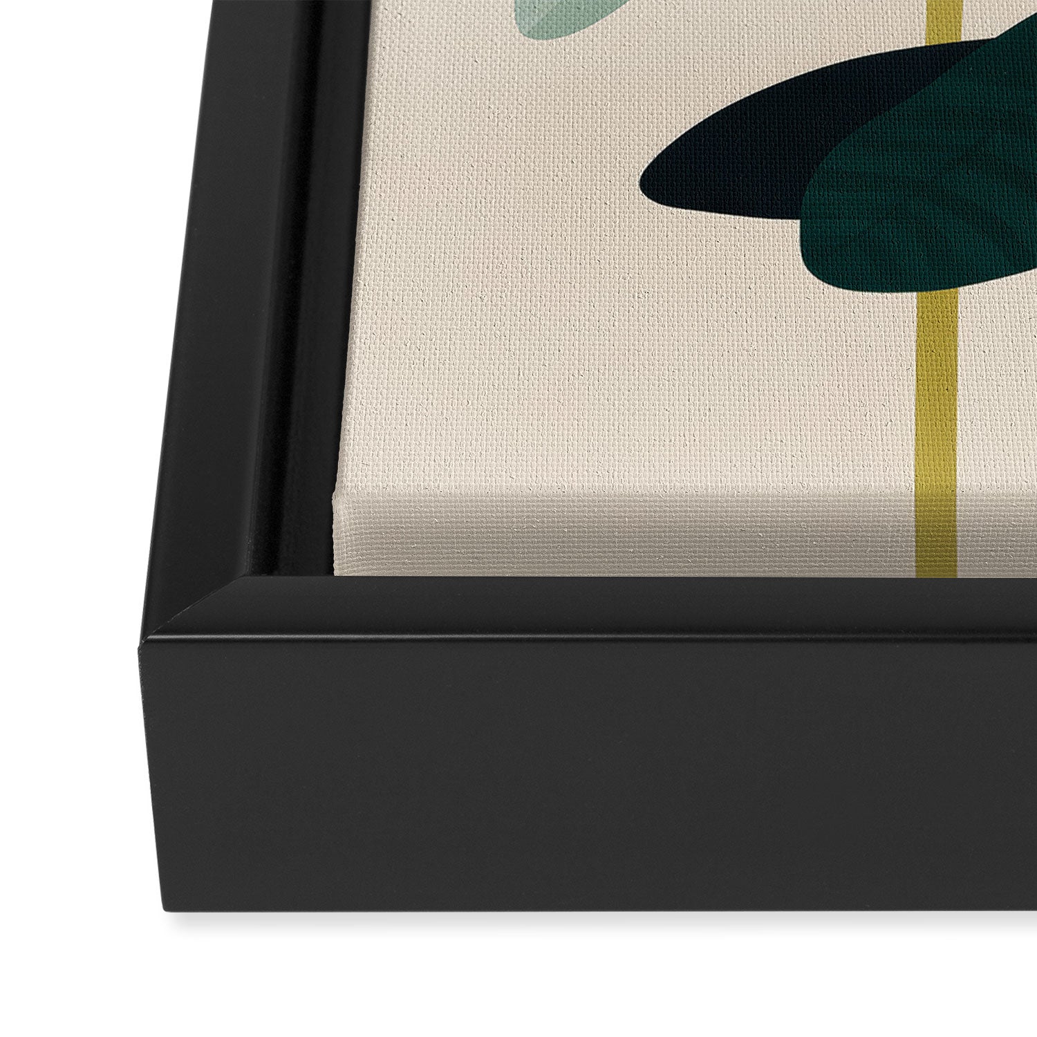 Soft Botanica Framed Canvas Print Gallery Image 3