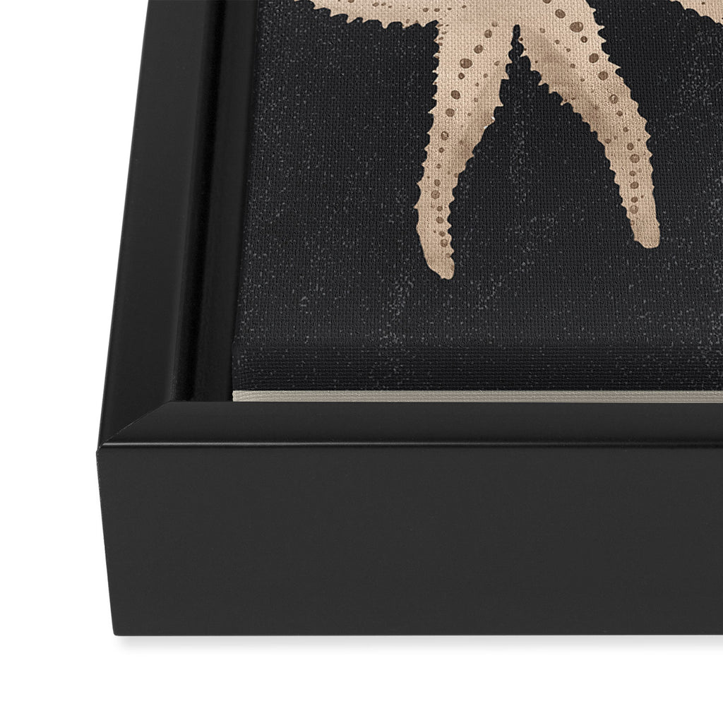 Starfish Harmony 3 Framed Canvas Print Gallery Image 3