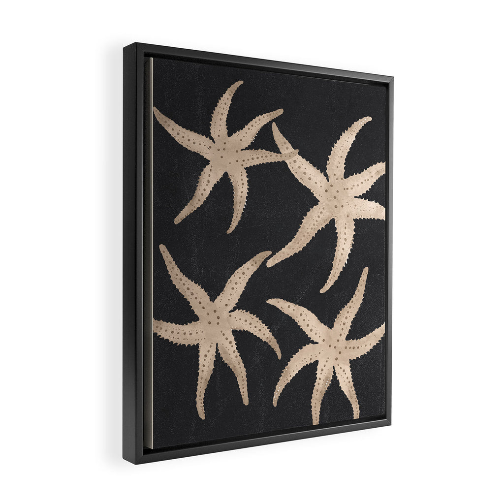 Starfish Harmony 3 Framed Canvas Print Gallery Image 2