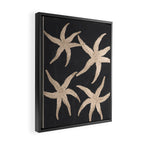 Starfish Harmony 3 Framed Canvas Print Gallery Image 2