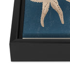 Starfish Harmony 4 Framed Canvas Print Gallery Image 3