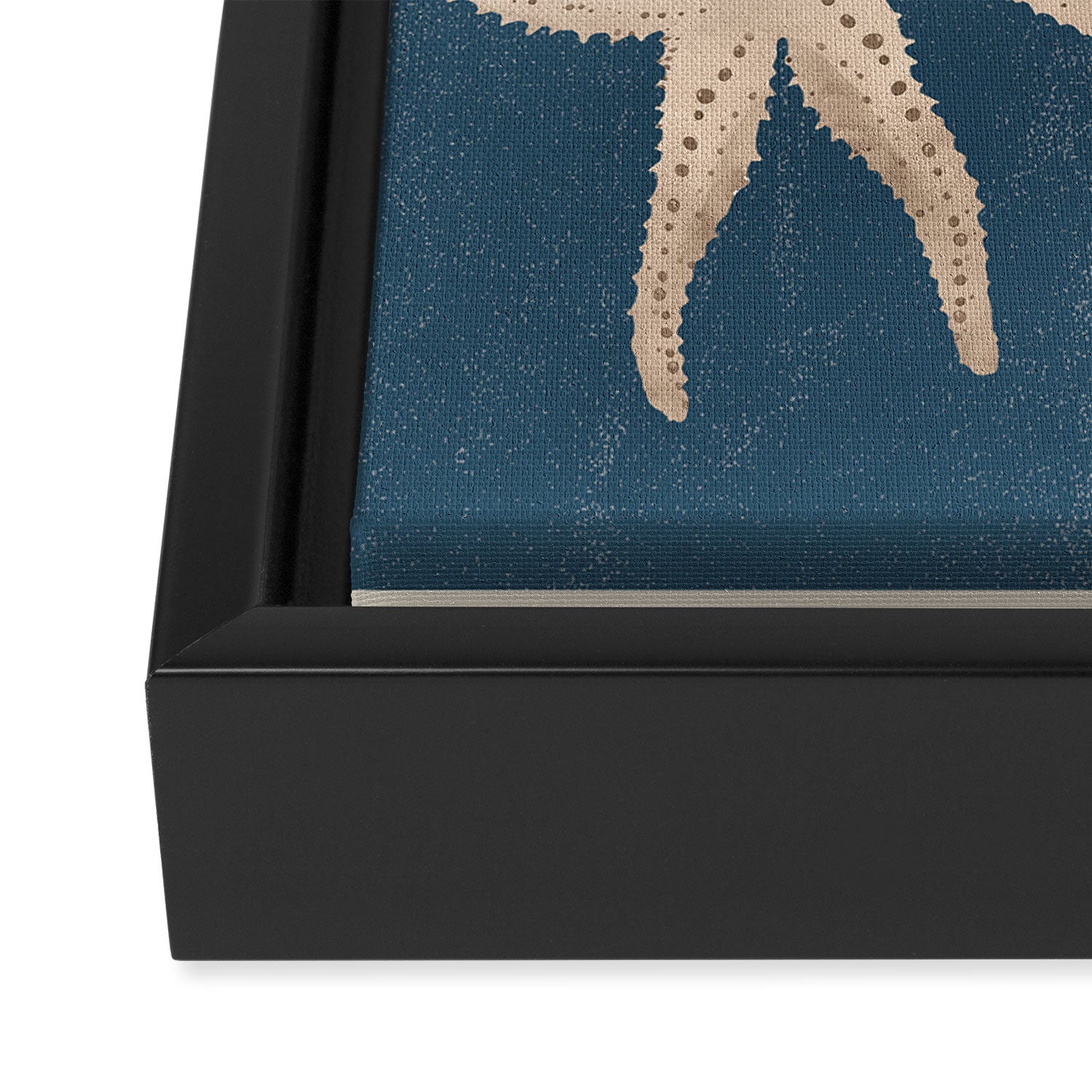 Starfish Harmony 4 Framed Canvas Print Gallery Image 3