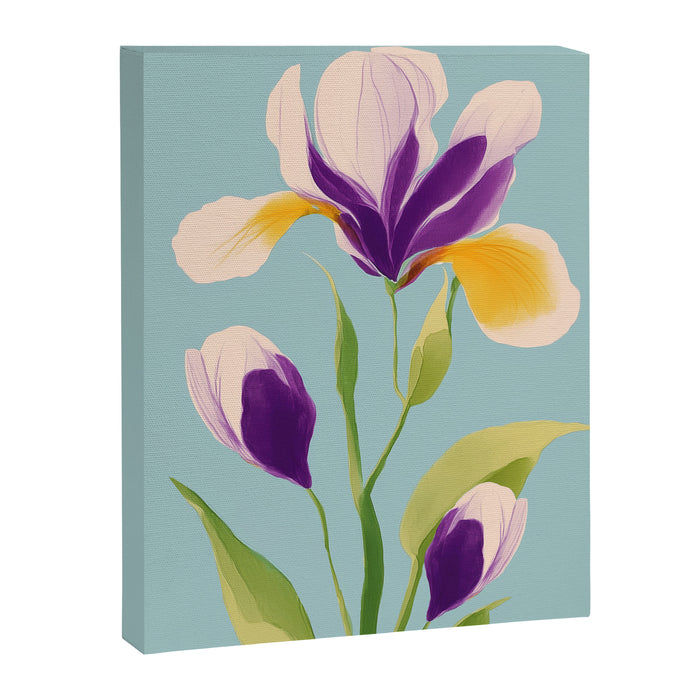 Sun-Kissed Iris Canvas Print Gallery Image 1