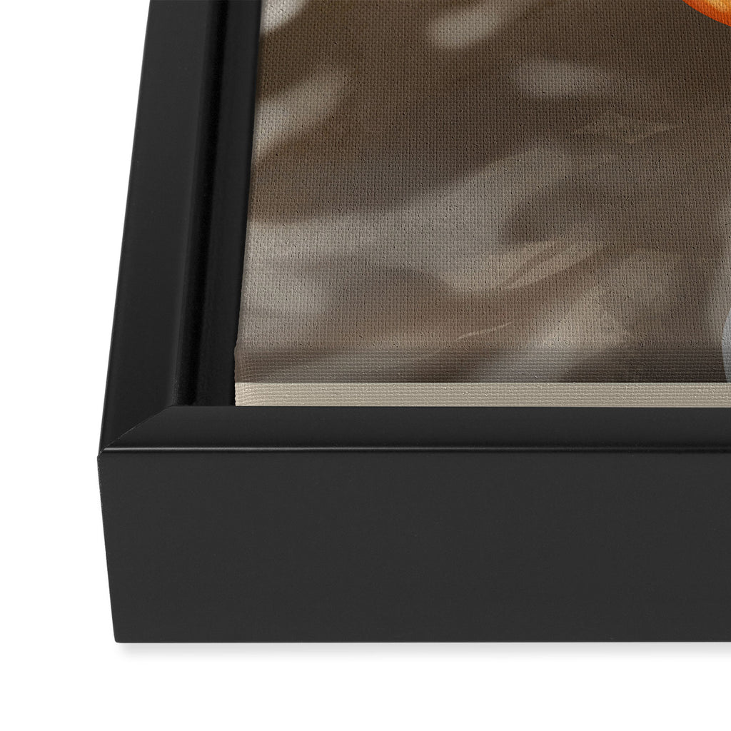 Tangerine Dream Framed Canvas Print Gallery Image 3