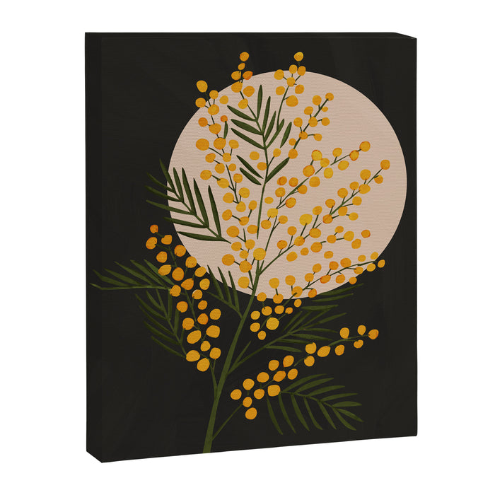 The Mimosa 1 Canvas Print Gallery Image 1