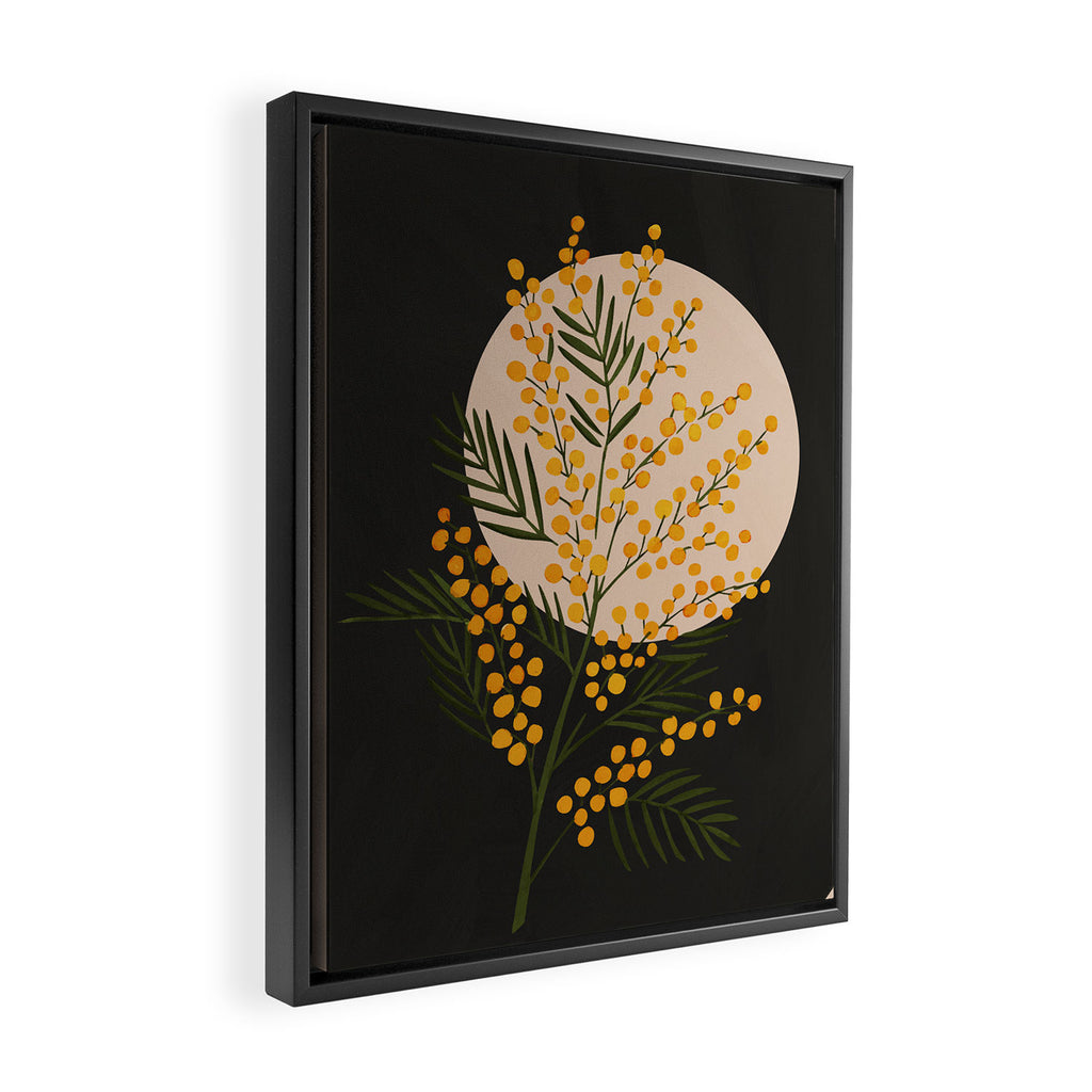 The Mimosa 1 Framed Canvas Print Gallery Image 2