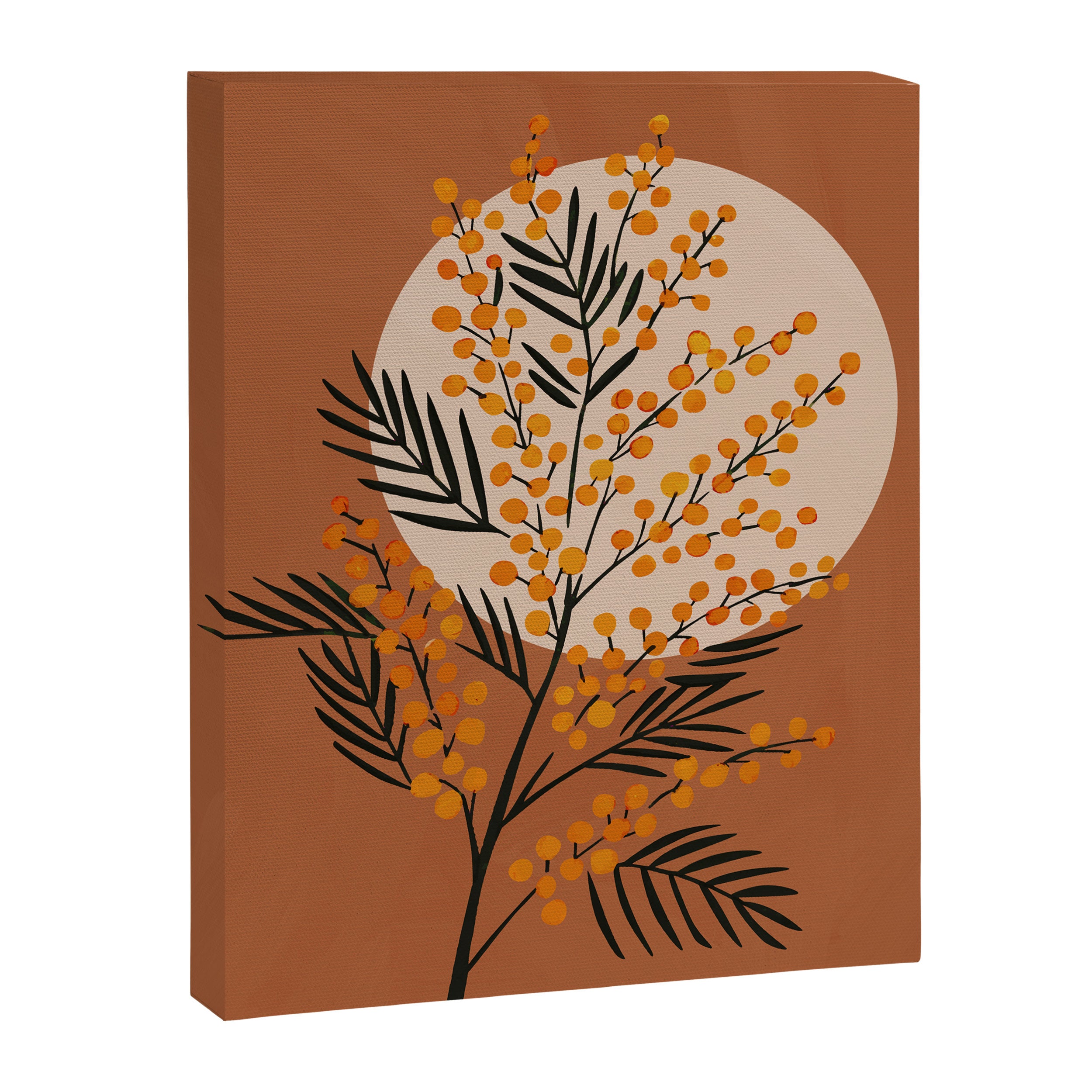 The Mimosa 2 Canvas Print Gallery Image 6