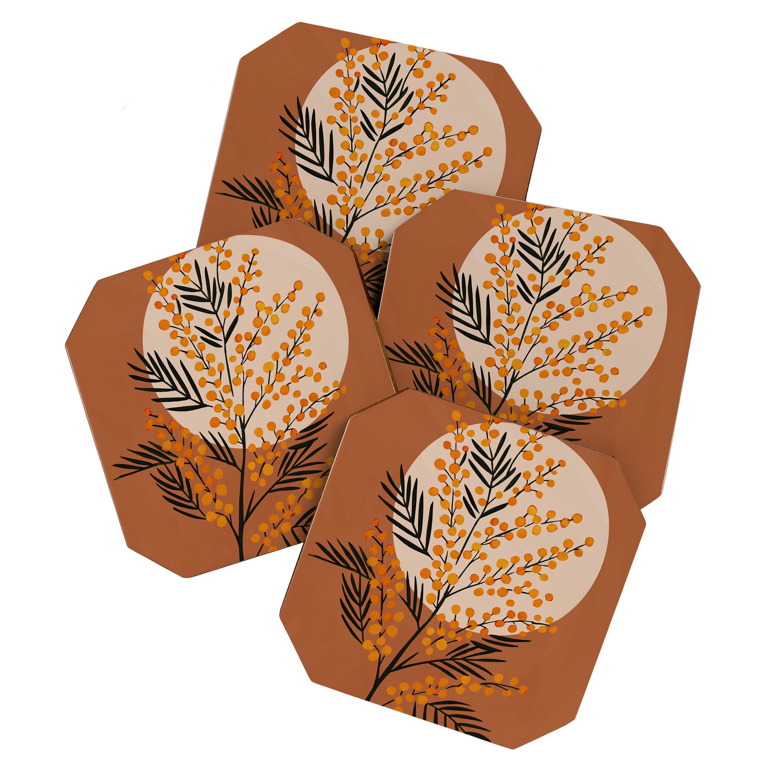 The Mimosa 2 Coaster Gallery Image 1