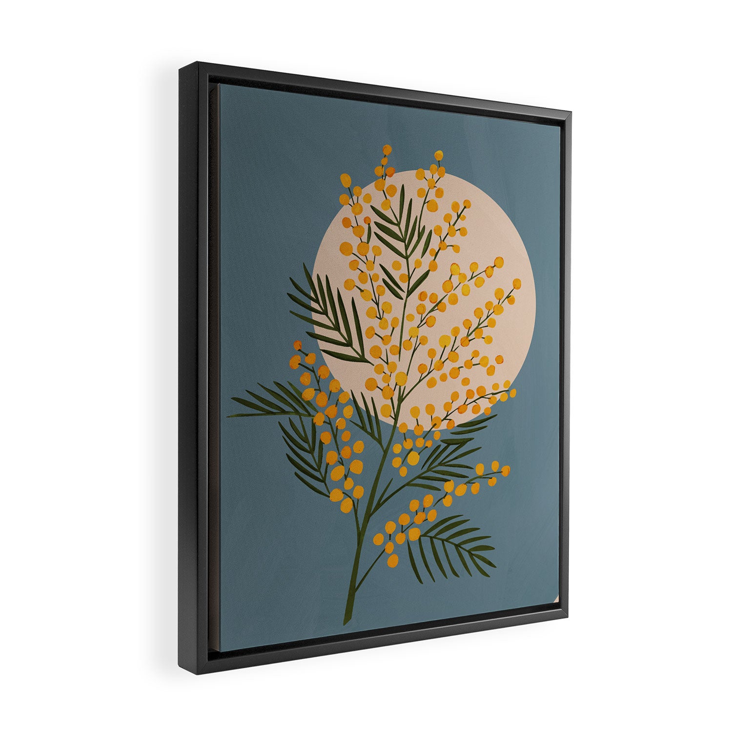 The Mimosa 3 Framed Canvas Print Gallery Image 2