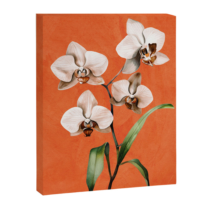 White Orchid Floral Art 3  Canvas Print Gallery Image 1