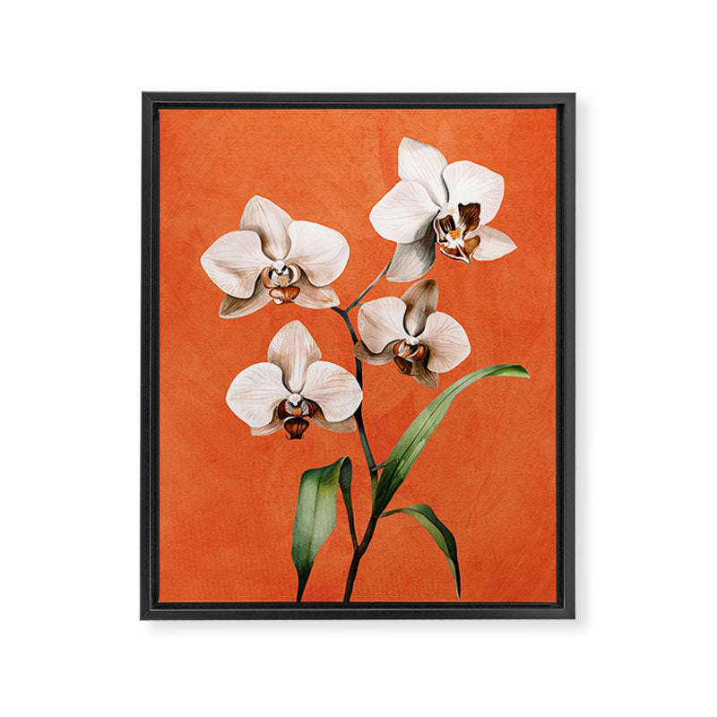 White Orchid Floral Art 3  Framed Canvas Print Gallery Image 6