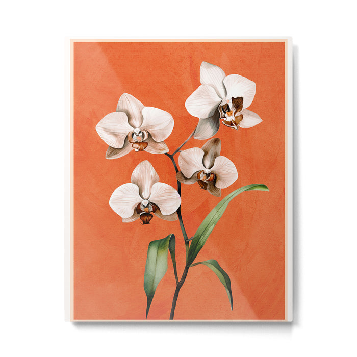 White Orchid Floral Art 3  Metal Print Gallery Image 1
