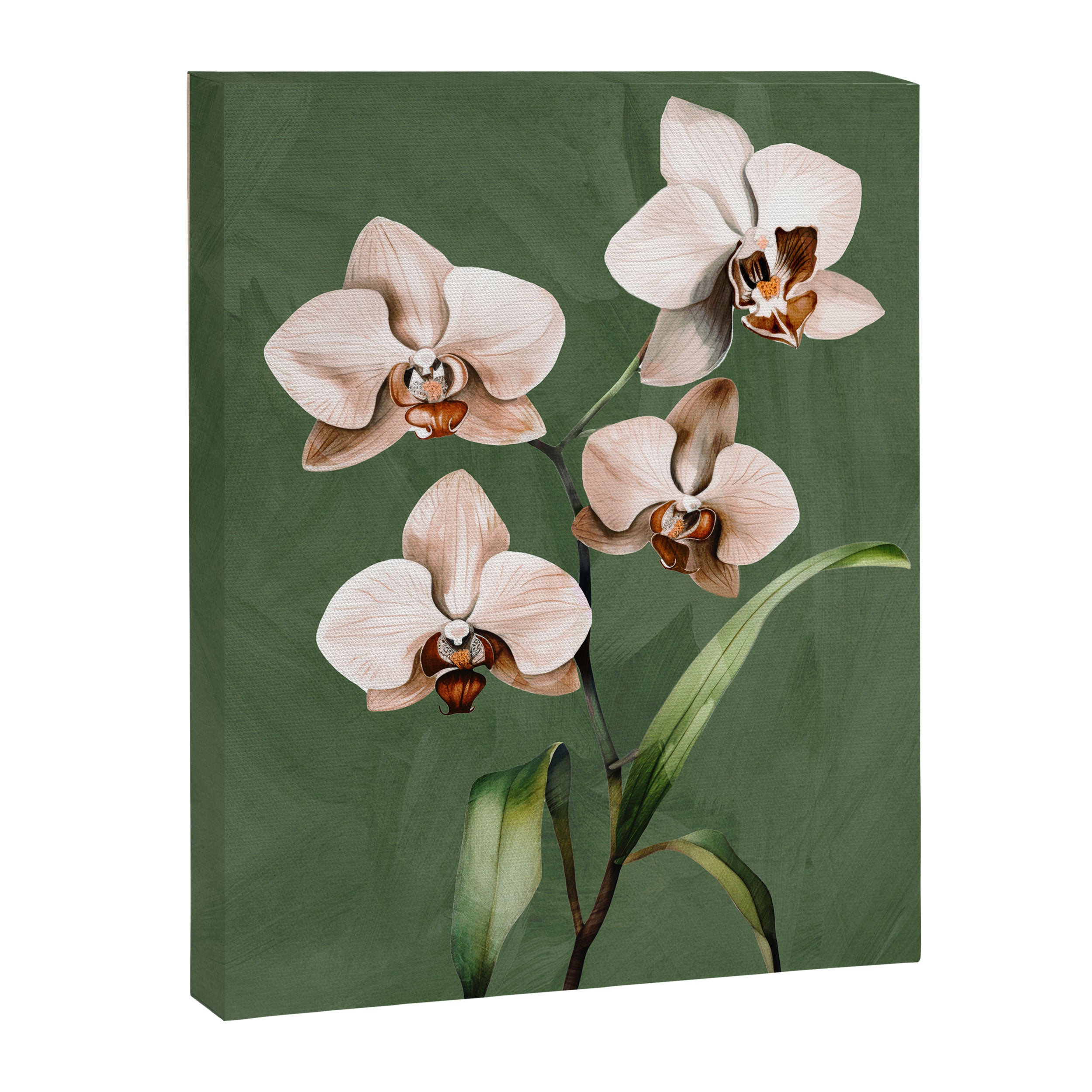White Orchid Floral Art 4  Canvas Print Gallery Image 6