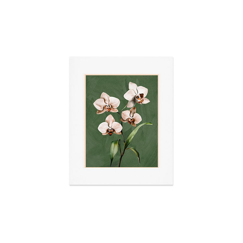 White Orchid Floral Art 4  Art Print Gallery Image 1