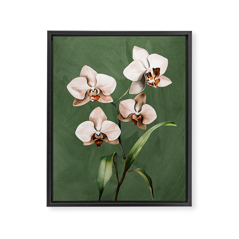 White Orchid Floral Art 4  Framed Canvas Print Gallery Image 6