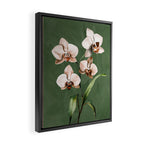 White Orchid Floral Art 4  Framed Canvas Print Gallery Image 2
