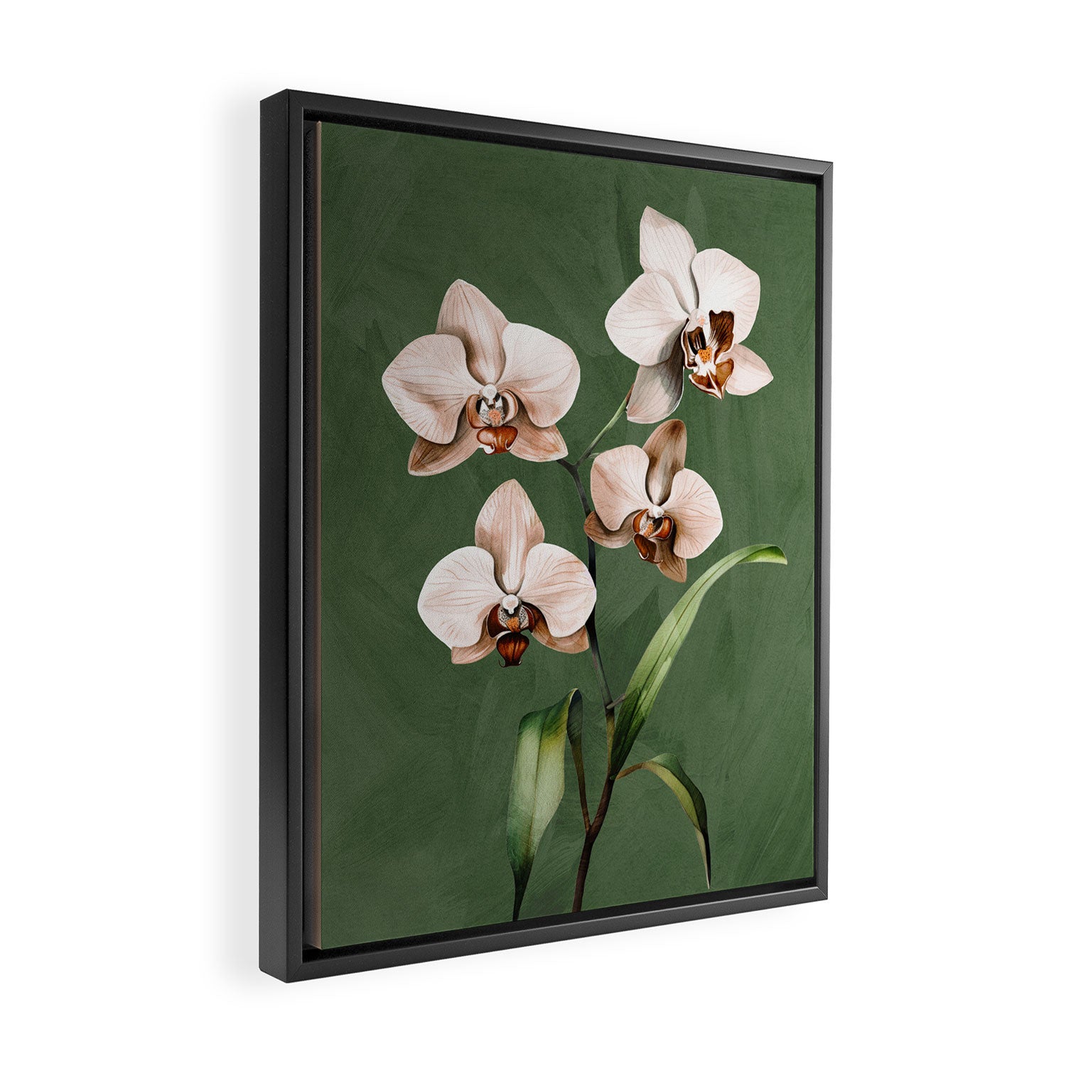 White Orchid Floral Art 4  Framed Canvas Print Gallery Image 2