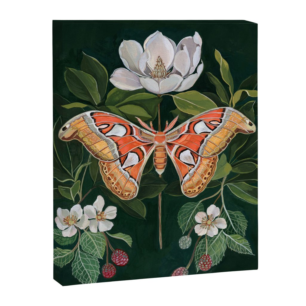 Atlas Moth Magnolia Canvas Print Gallery Image 8