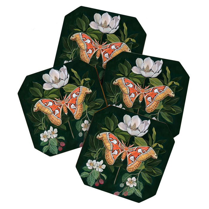 Atlas Moth Magnolia Coaster Gallery Image 1