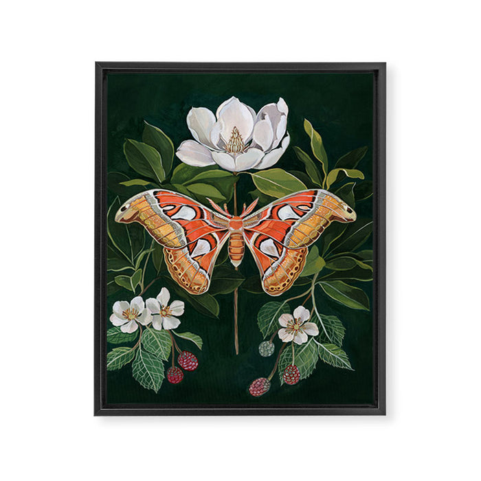 Atlas Moth Magnolia Framed Canvas Print Gallery Image 1