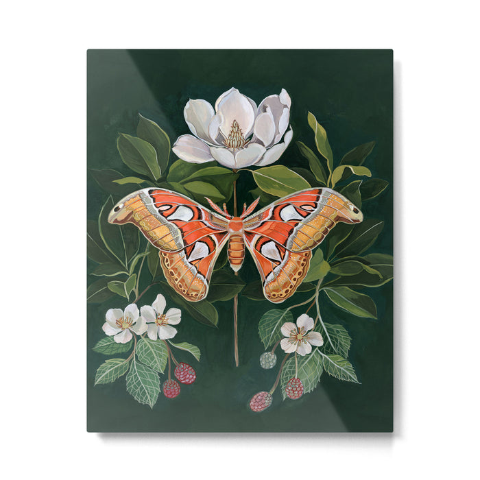 Atlas Moth Magnolia Metal Print Gallery Image 1