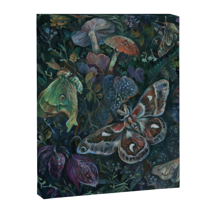 Atlas Moth  Mushroom Night Canvas Print Gallery Image 1